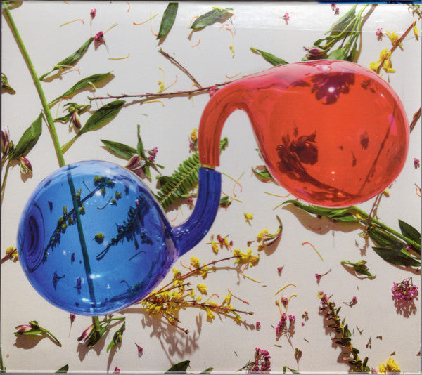 Dirty Projectors – Lamp Lit Prose