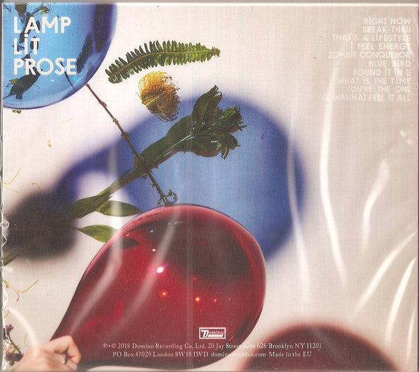 Dirty Projectors – Lamp Lit Prose