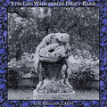 Stellan Wahlström Drift Band – The Excitable Gift