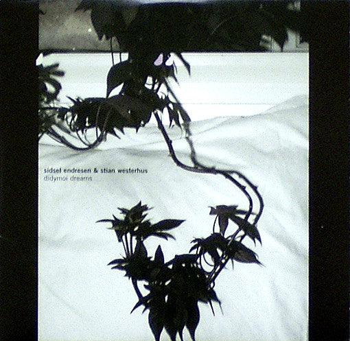 Sidsel Endresen & Stian Westerhus – Didymoi Dreams