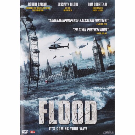 Flood